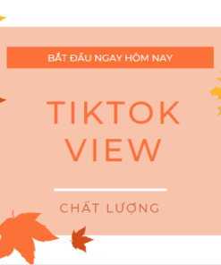 1000 view Tiktok miễn phí