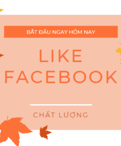 Like Facebook giá rẻ uy tín